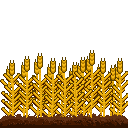 🌾